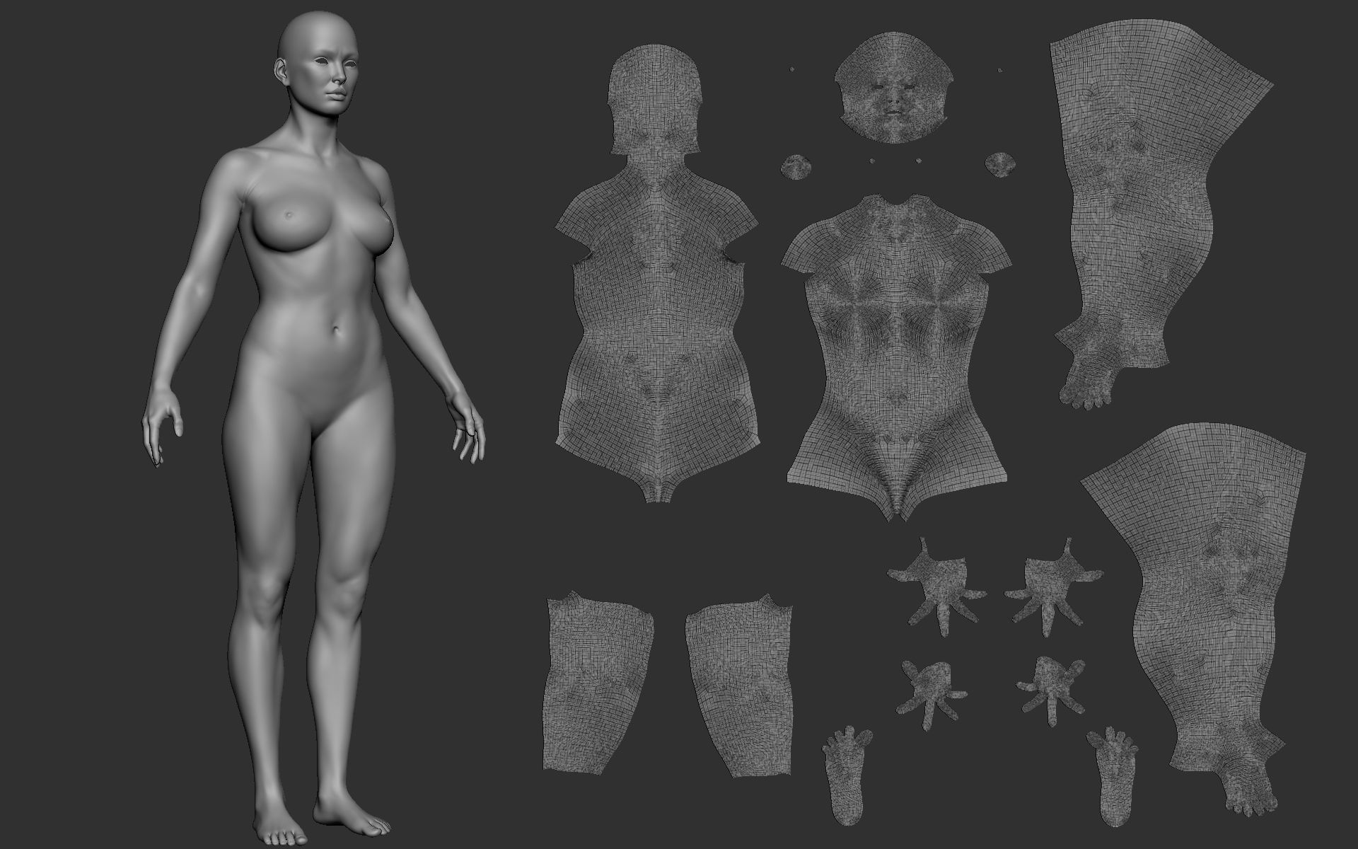 Realistic Female Basemesh Low-poly 3D model_28