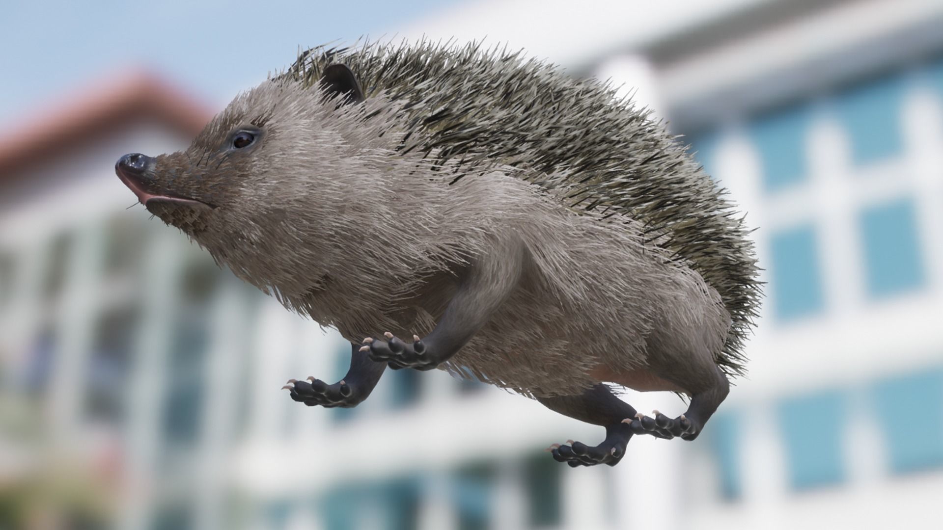 Hedgehog Low-poly 3D model_11