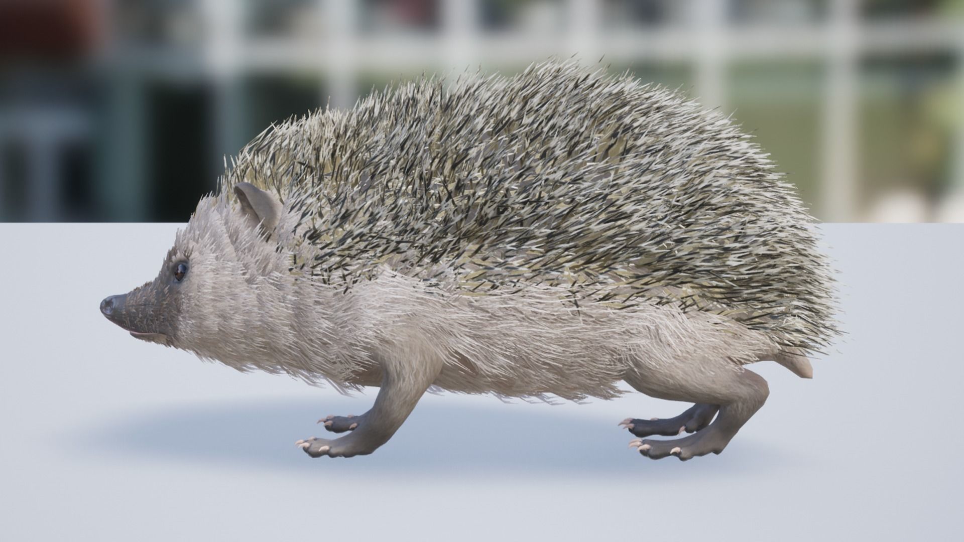 Hedgehog Low-poly 3D model_8