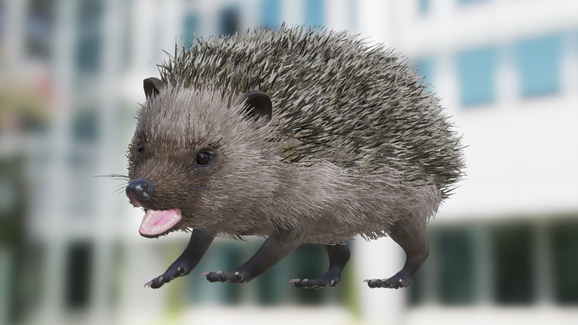 Hedgehog Low-poly 3D model_12