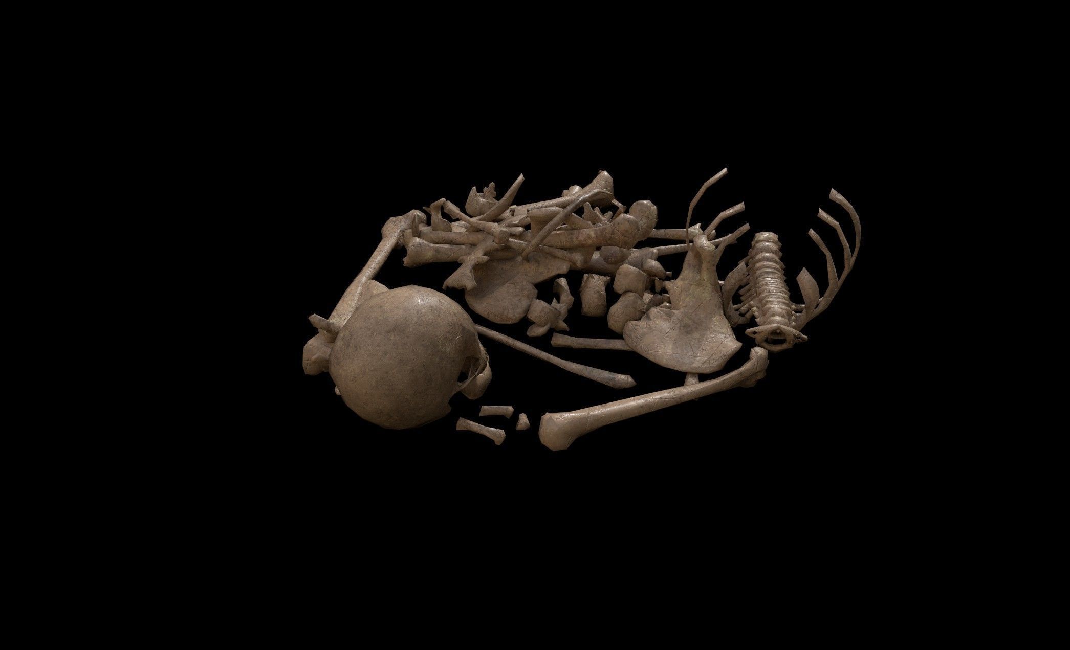 Dead Skeleton - 2 - PBR - Textured Low-poly 3D model_4