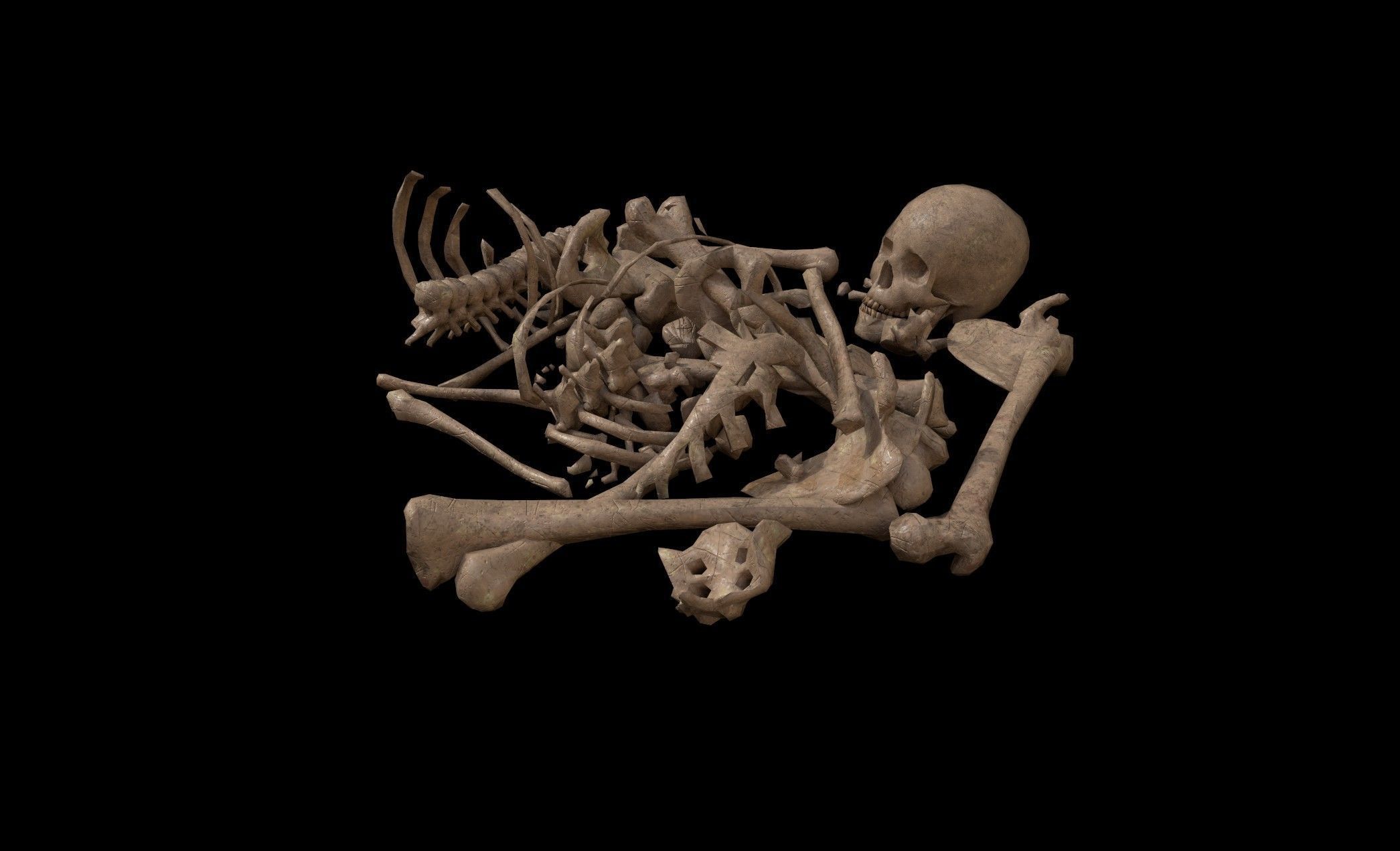 Dead Skeleton - 2 - PBR - Textured Low-poly 3D model_5