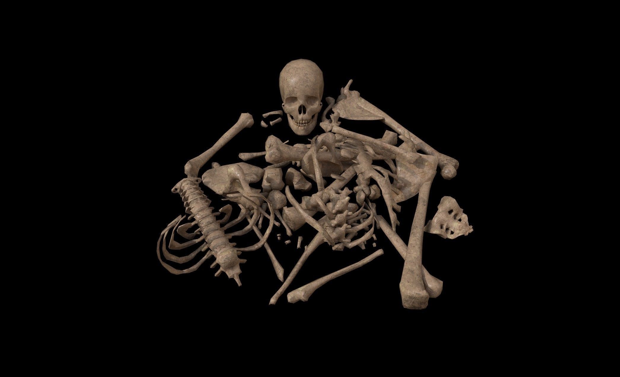 Dead Skeleton - 2 - PBR - Textured Low-poly 3D model_6