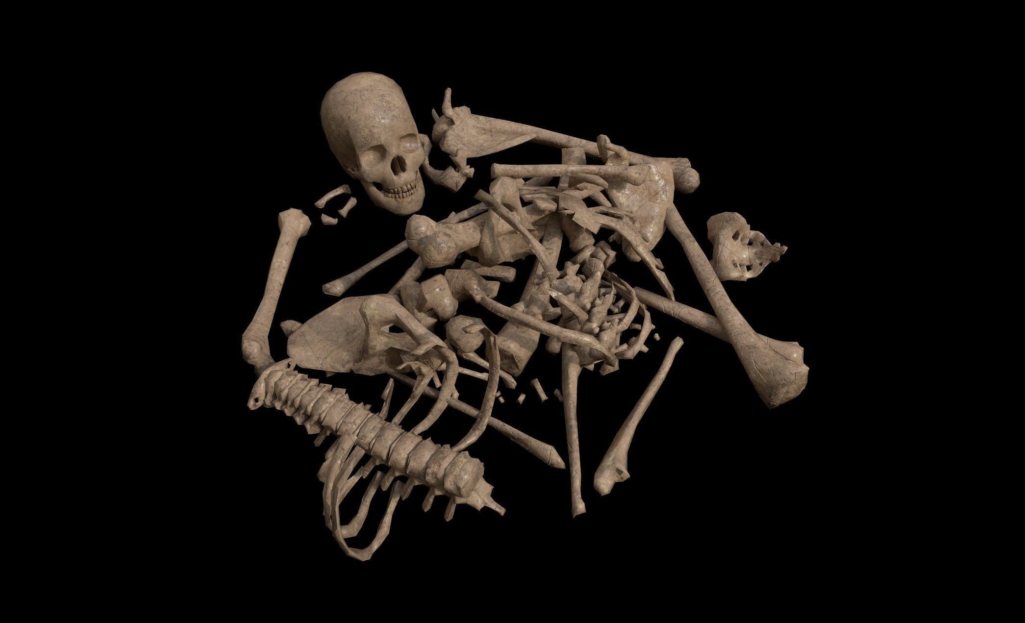 Dead Skeleton - 2 - PBR - Textured Low-poly 3D model_2