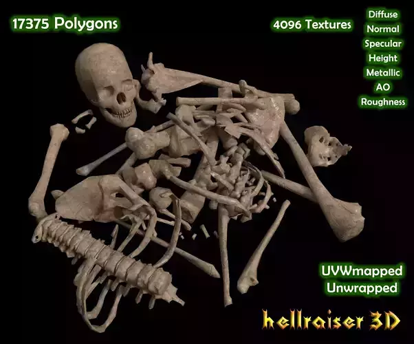 Dead Skeleton - 2 - PBR - Textured Low-poly 3D model