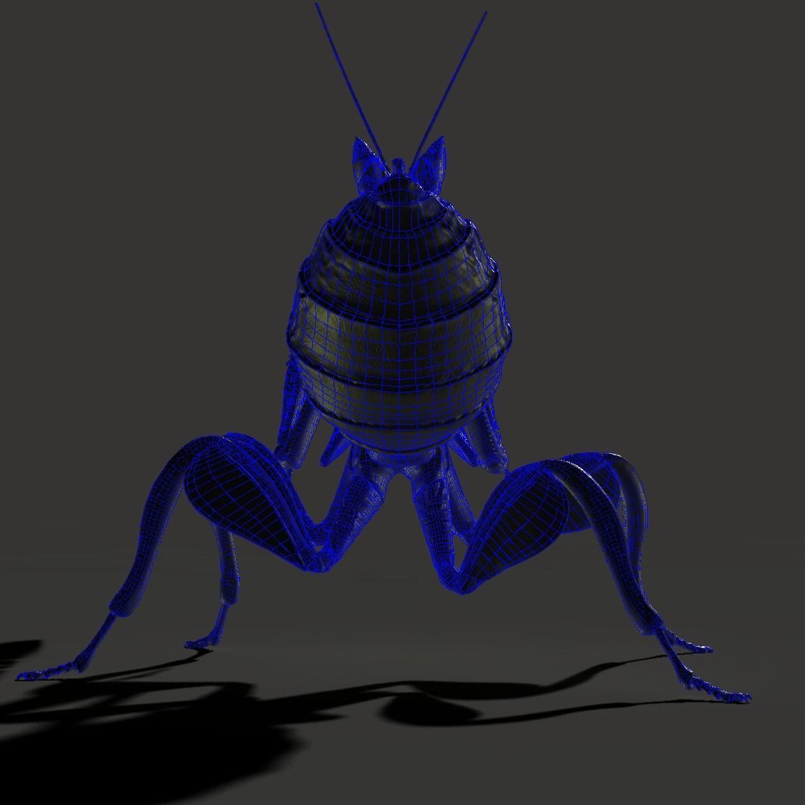 Orchid Mantis Nymph 3D model_10