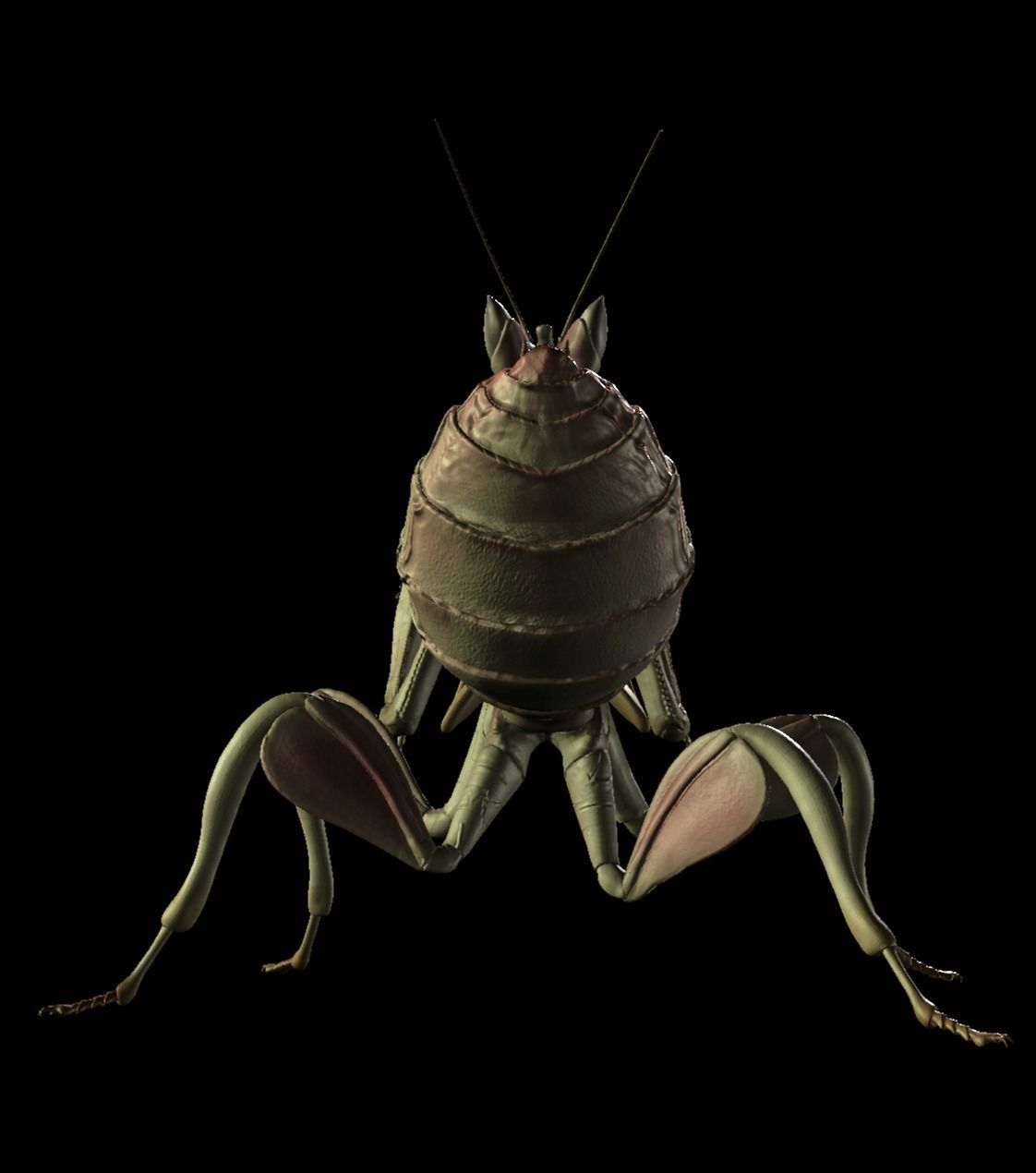  Orchid Mantis Nymph 3D model_5