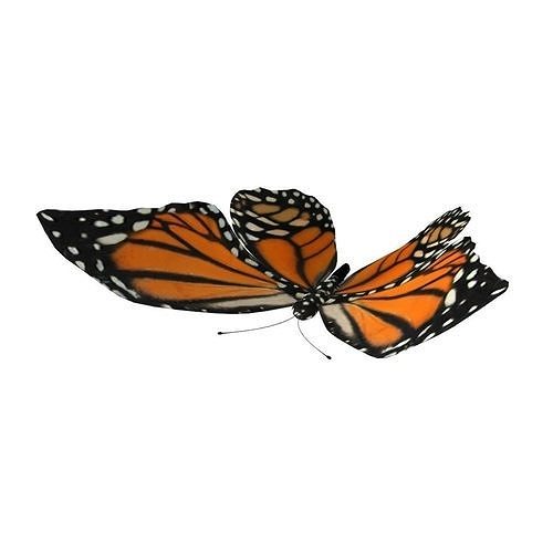 Rig Butterfly Low-poly 3D model