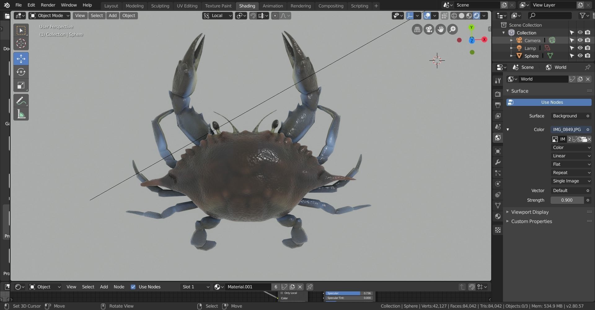 blue crab 3D model_2