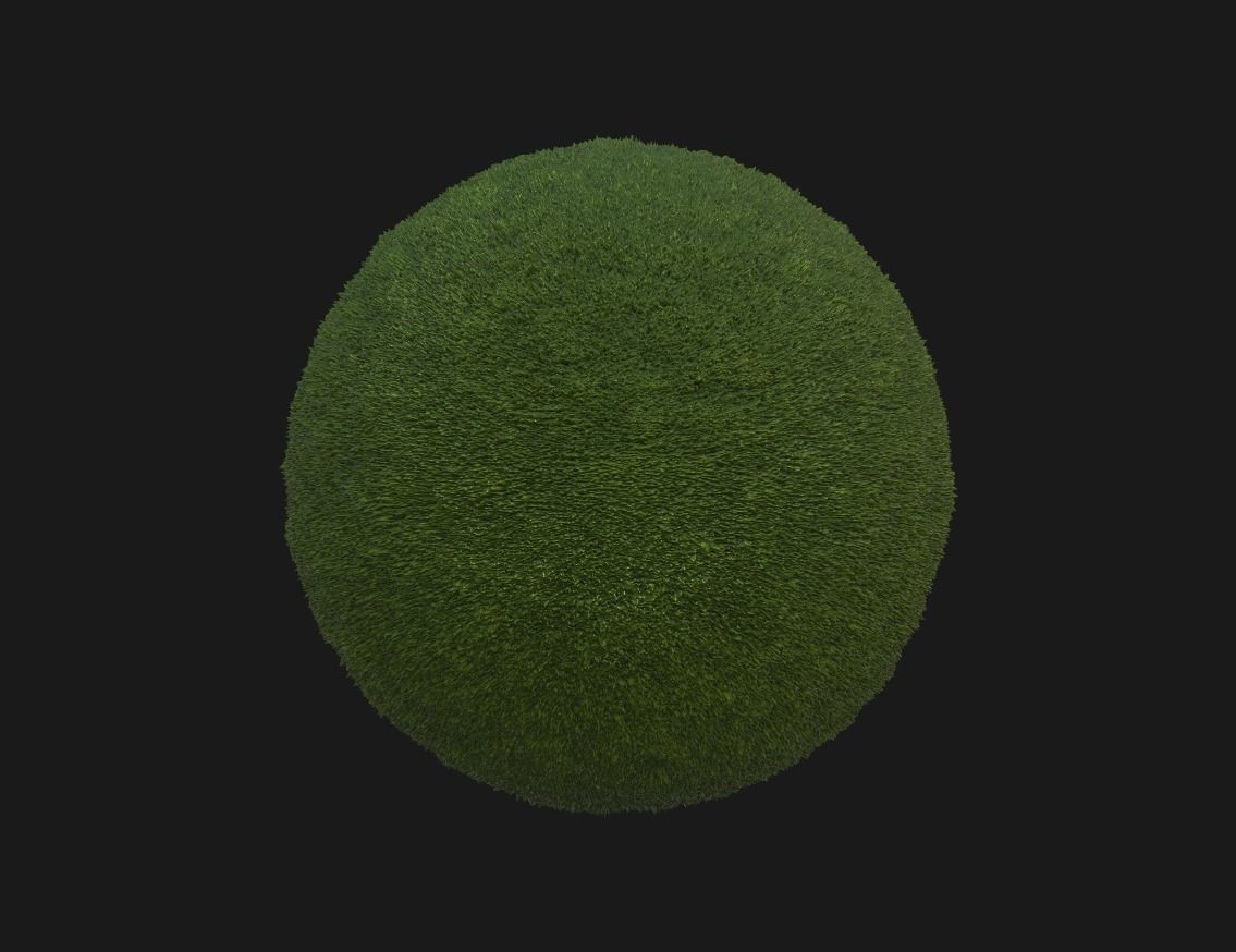 Grass Pbr texture  Texture_1