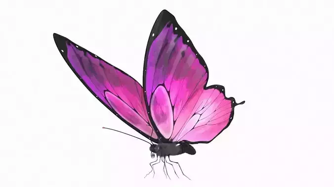 Butterfly Rigged  Low-poly 3D model