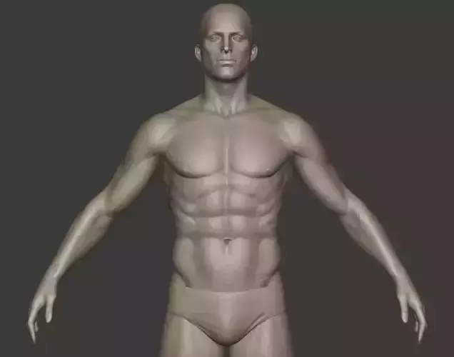mele base mesh sculpt 3D model