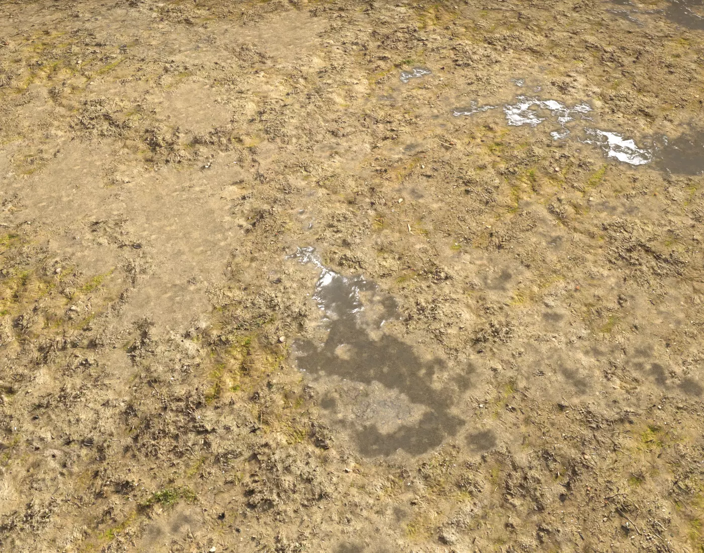 Muddy Soil Seamless PBR Texture Texture