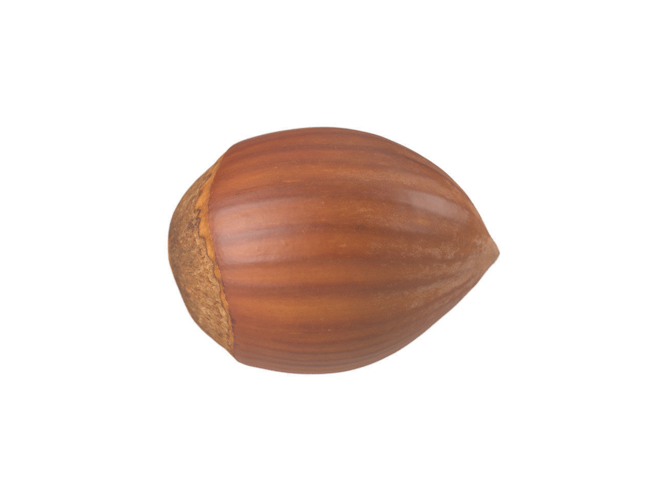 Photorealistic Hazelnut 3D Scan 3D model_2