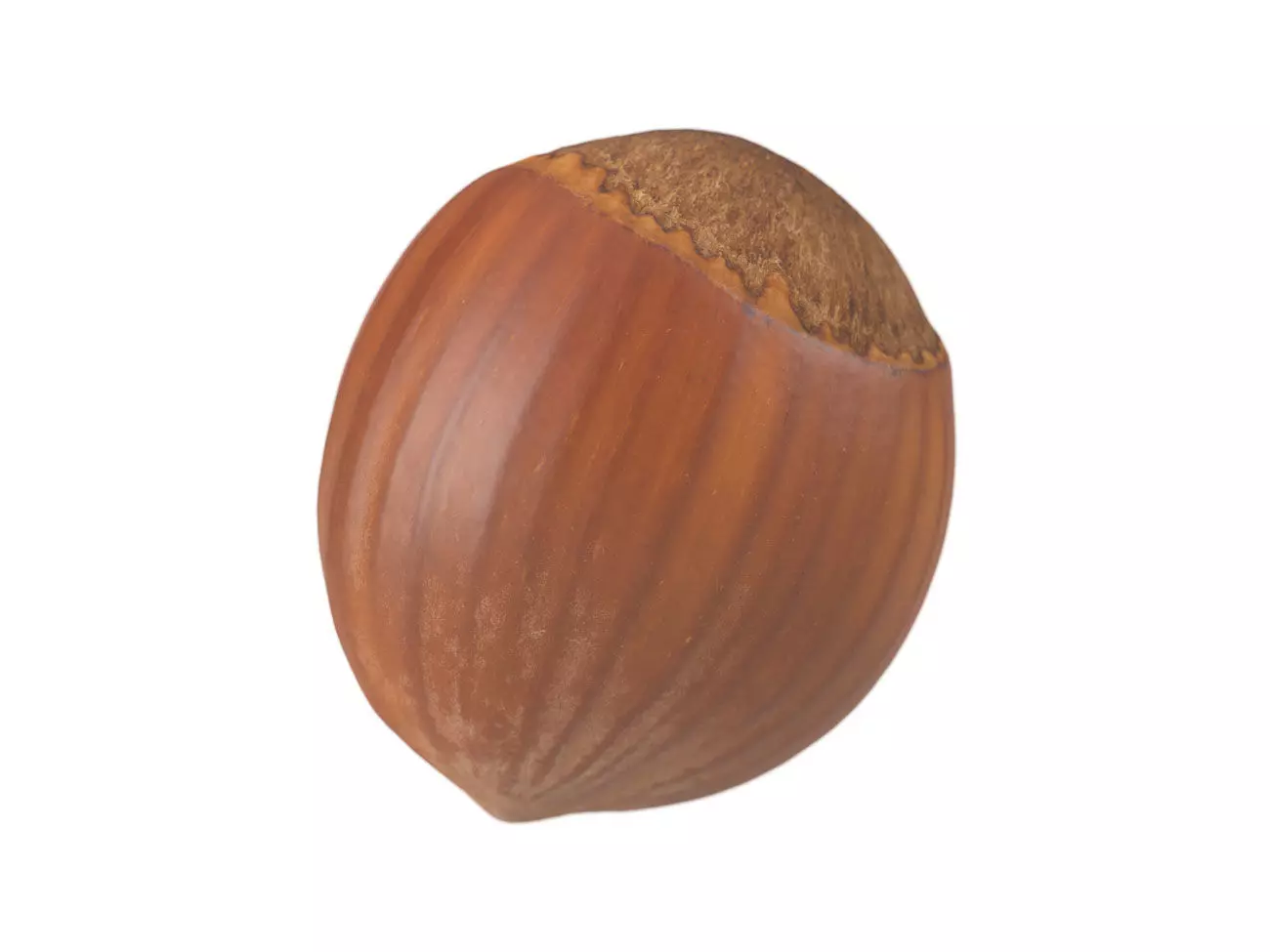Photorealistic Hazelnut 3D Scan 3D model_0