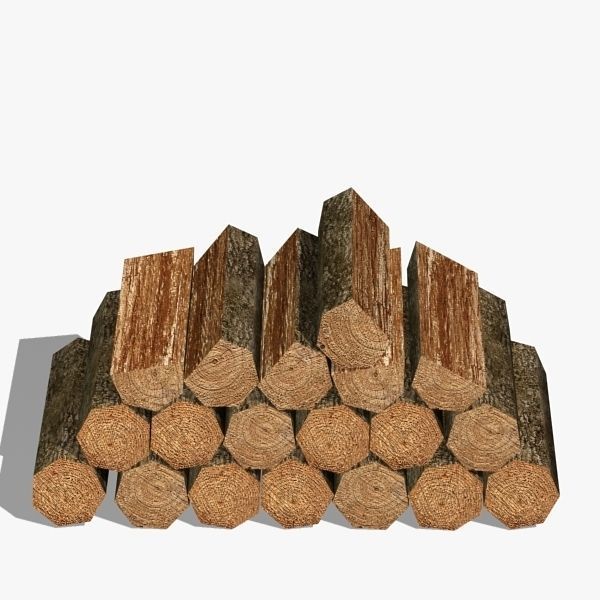 Woods 02 Low-poly 3D model_5