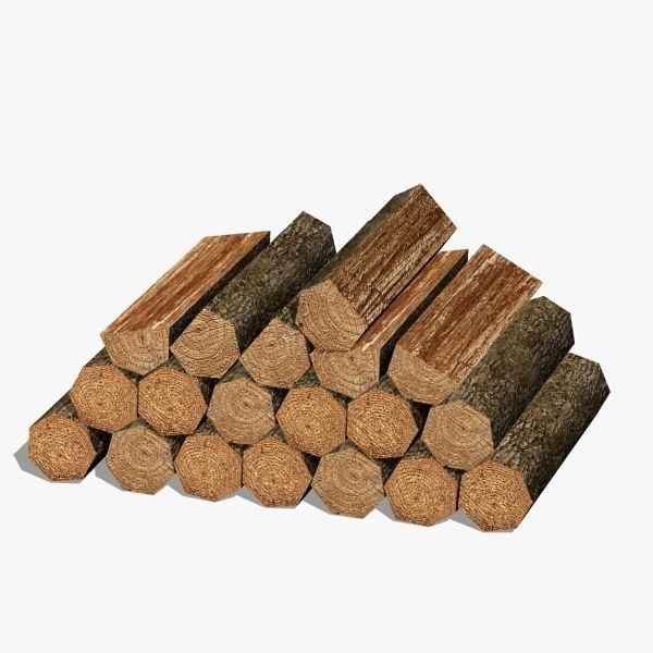 Woods 02 Low-poly 3D model_4