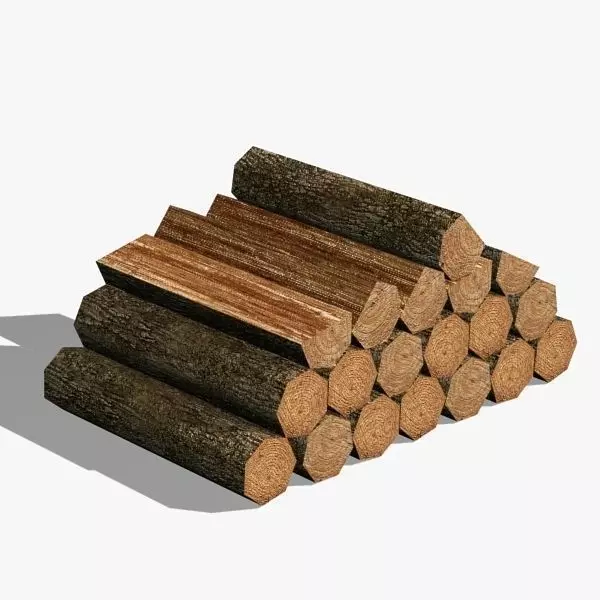 Woods 02 Low-poly 3D model_0