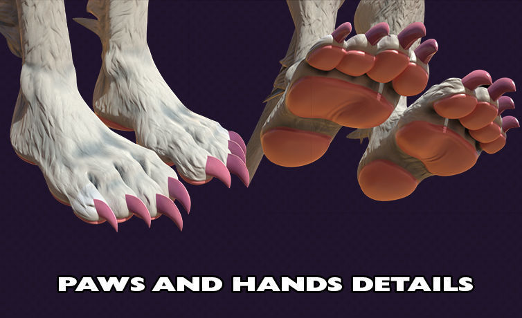 Nekomimi Felicia from Darkstalkers NSFW 3D model_3