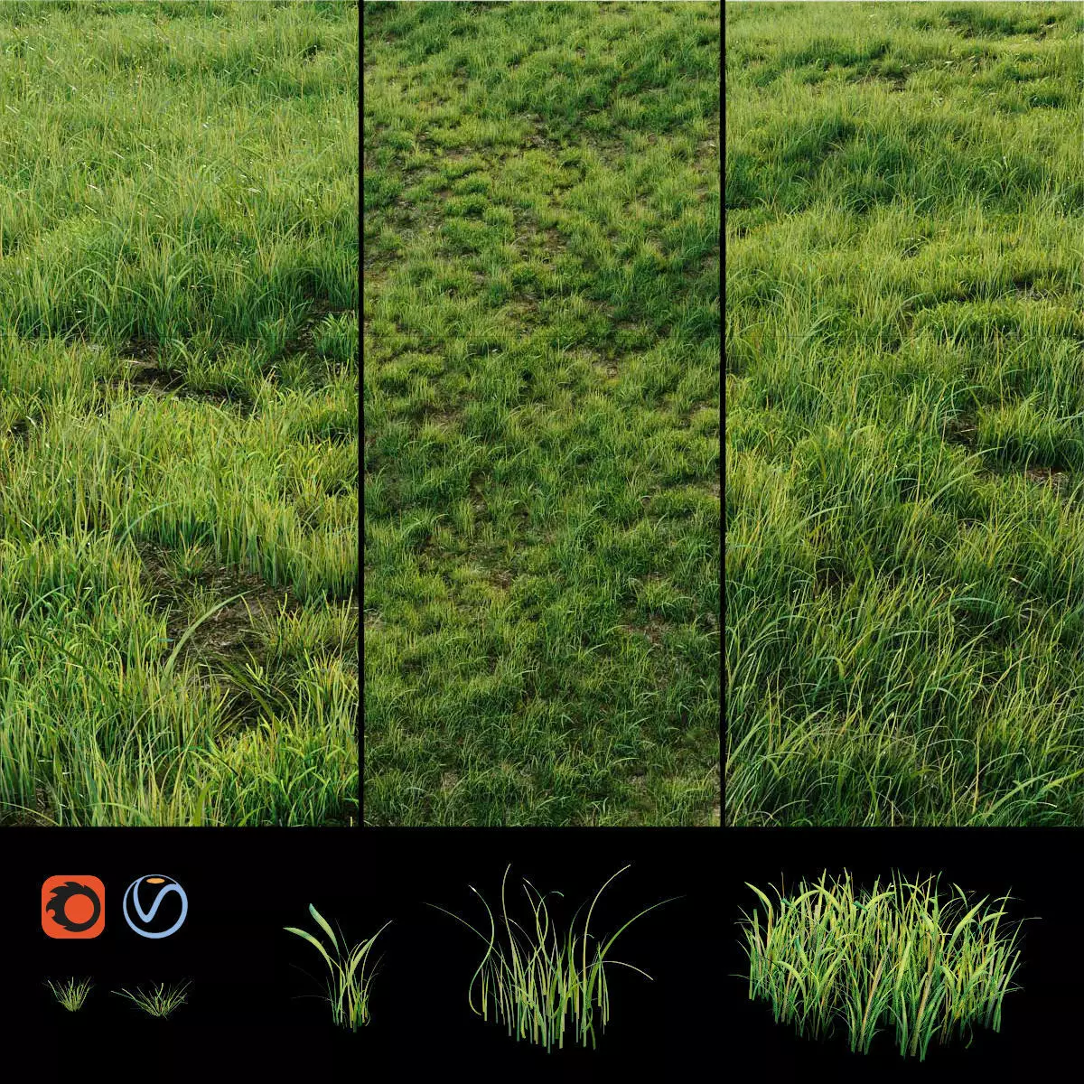 Grass for landscaping exterior  3D model_0