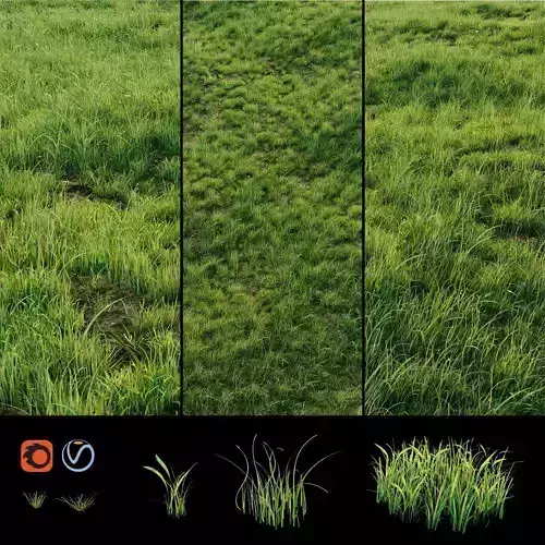 Grass for landscaping exterior  3D model