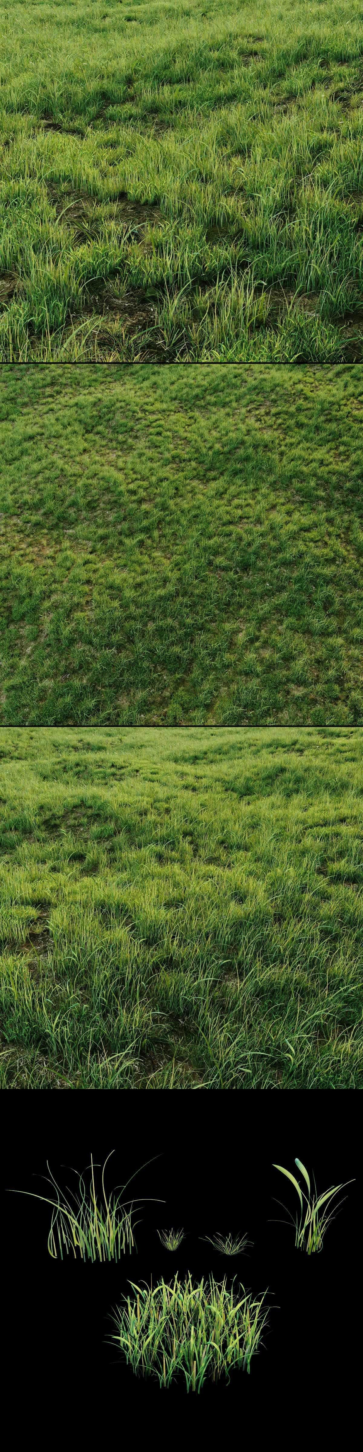 Grass for landscaping exterior  3D model_2