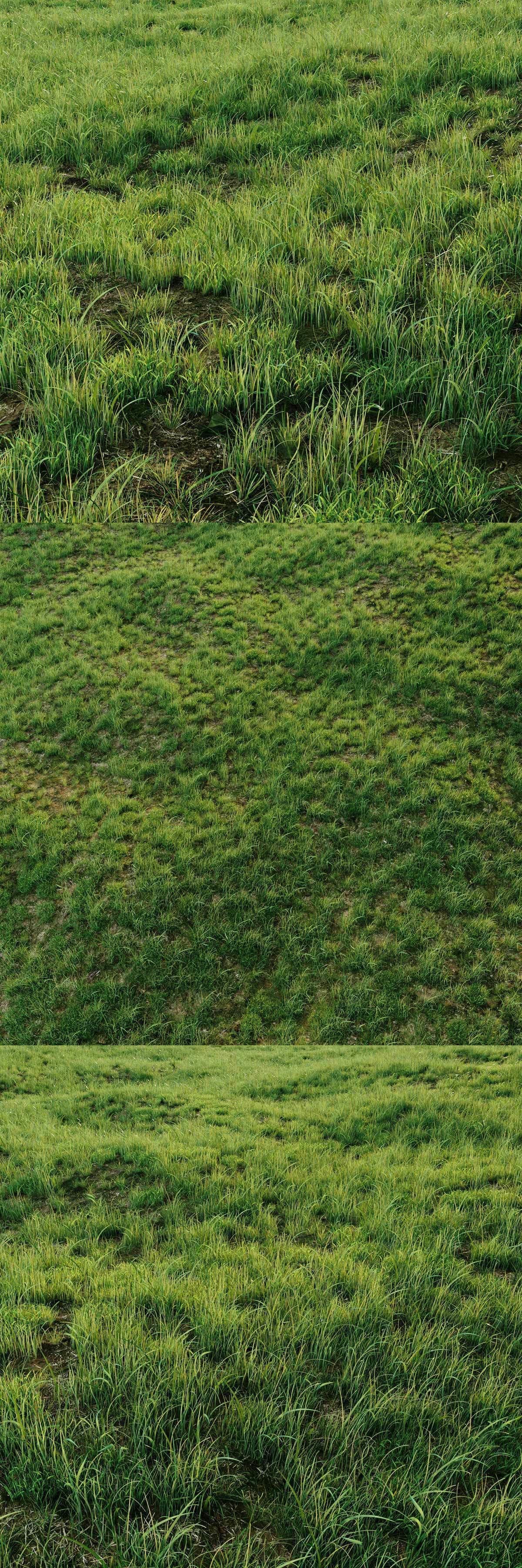 Grass for landscaping exterior  3D model_3