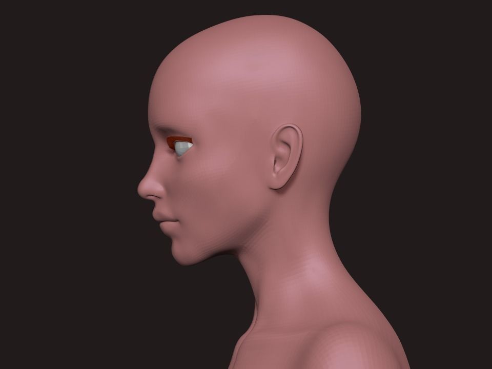 Nice Female Body Basemesh  Low-poly 3D model_3