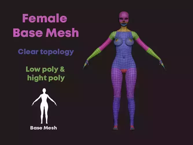 Nice Female Body Basemesh  Low-poly 3D model