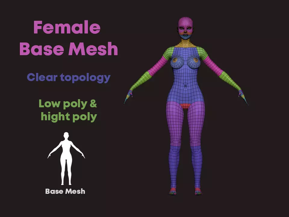 Nice Female Body Basemesh  Low-poly 3D model_0