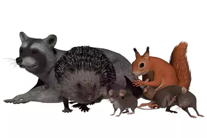 Rodents pack Low-poly 3D model