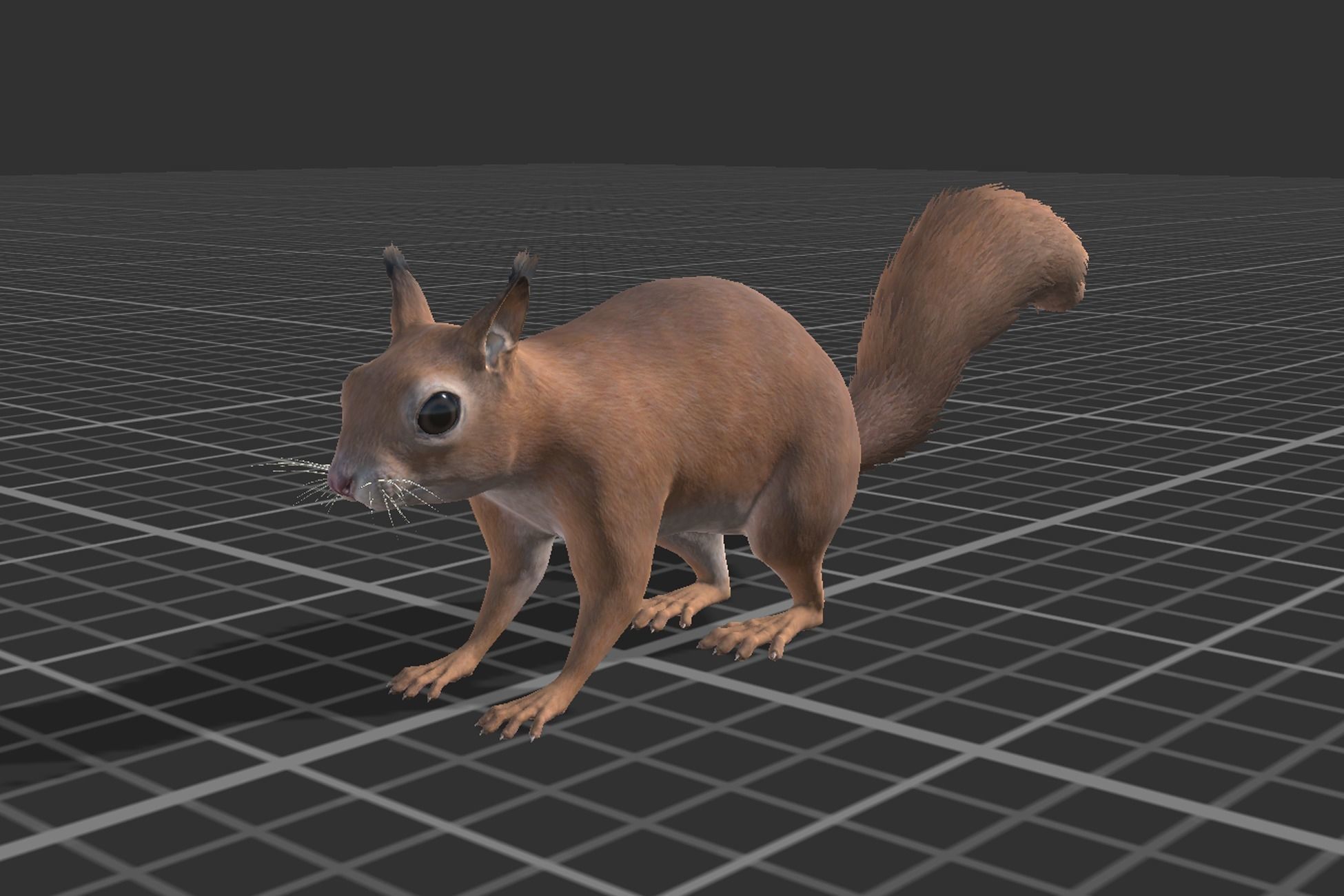 Rodents pack Low-poly 3D model_16