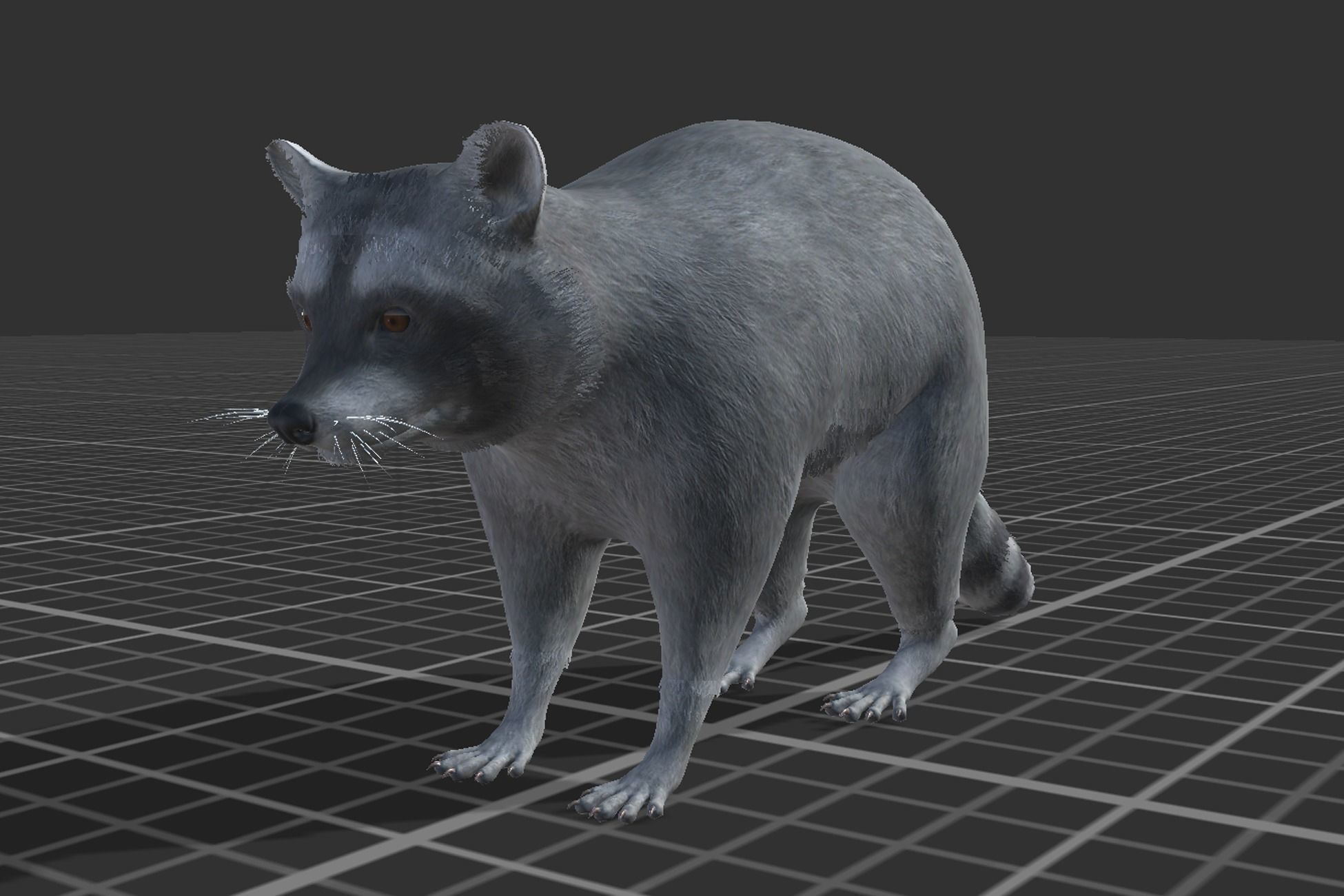 Rodents pack Low-poly 3D model_20