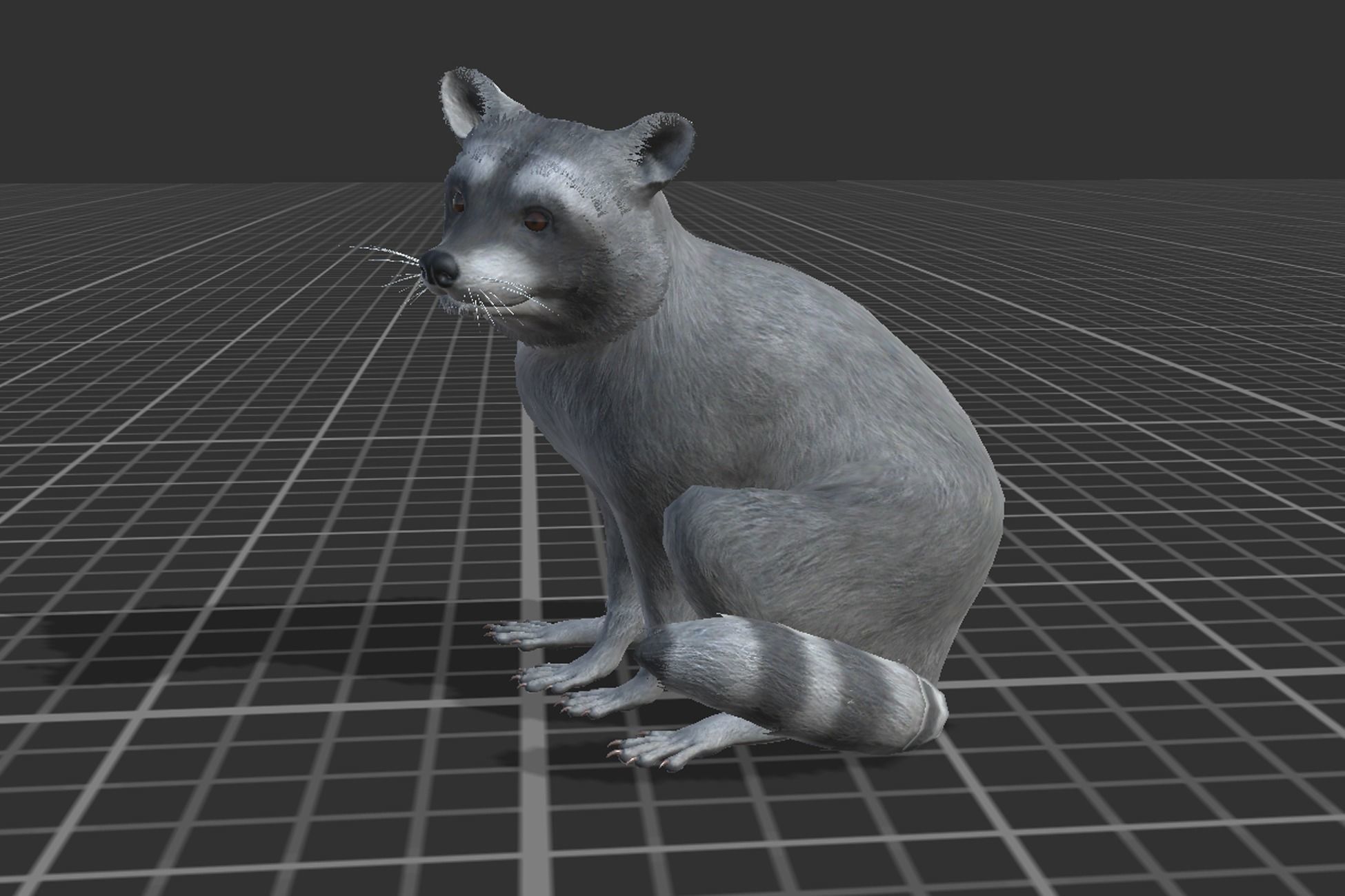 Rodents pack Low-poly 3D model_21