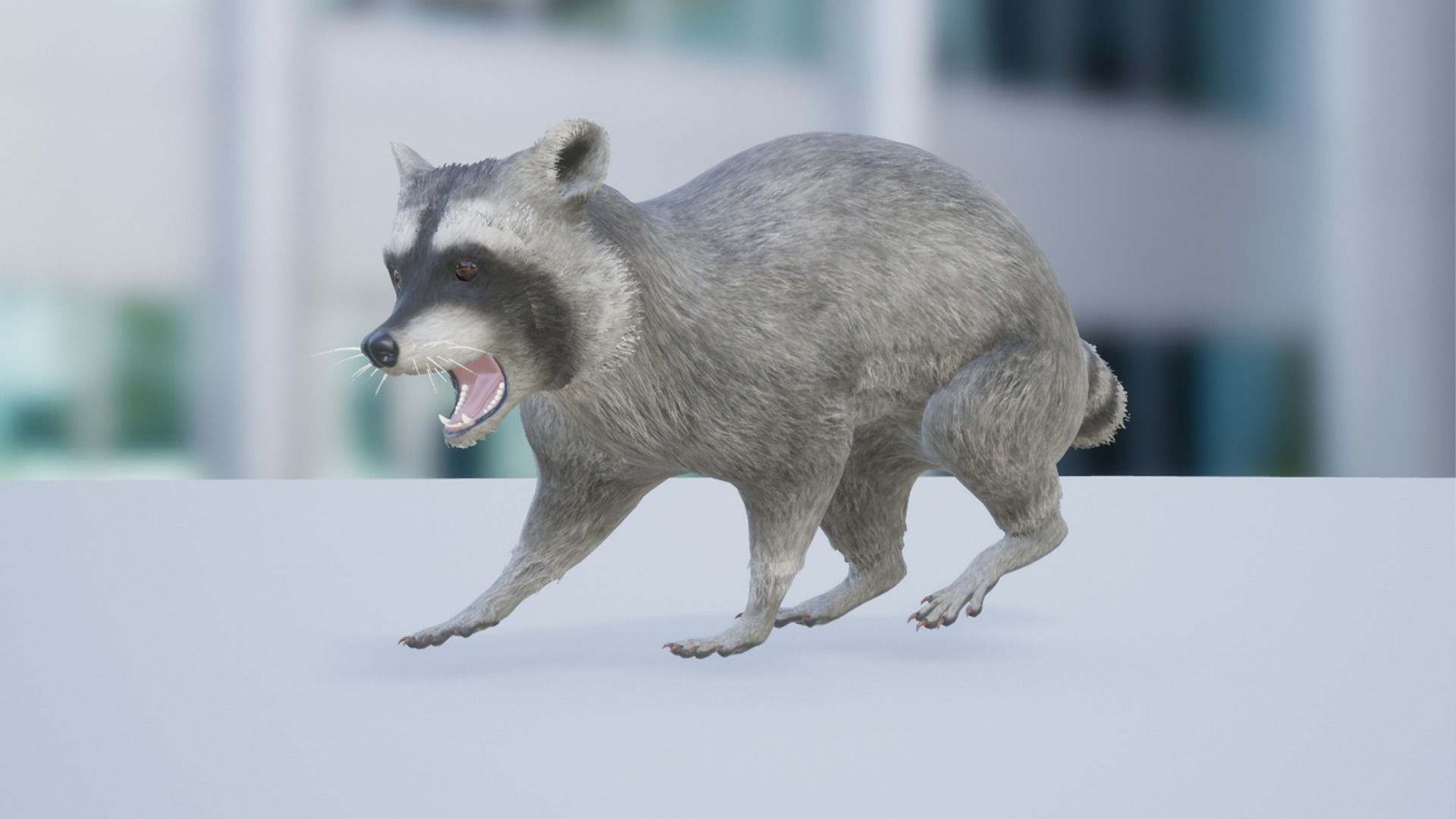 Rodents pack Low-poly 3D model_23