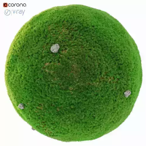 Simple low grass with stones 