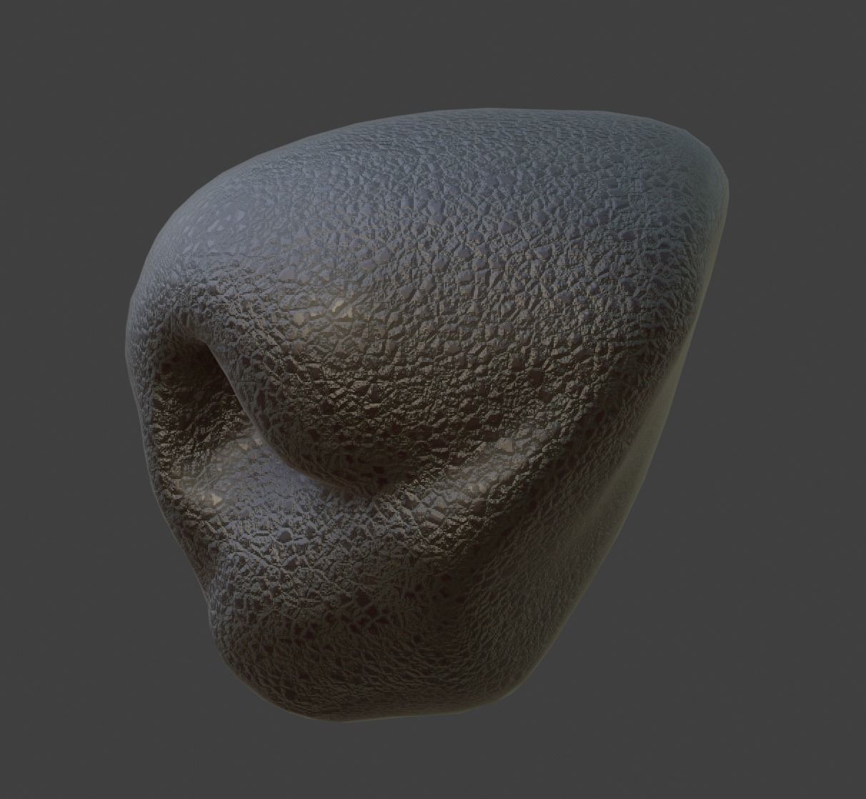 Dog Nose  Low-poly 3D model_4