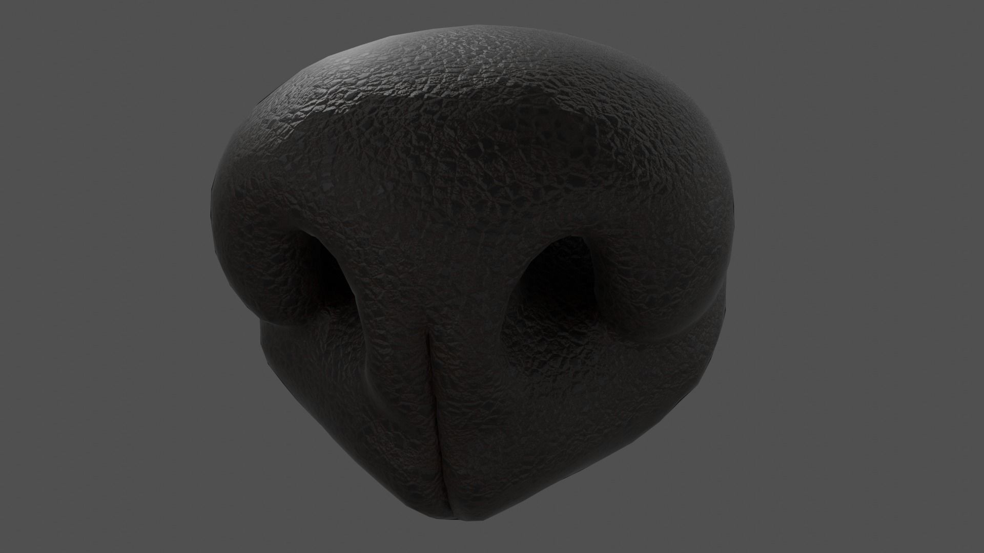 Dog Nose  Low-poly 3D model_1
