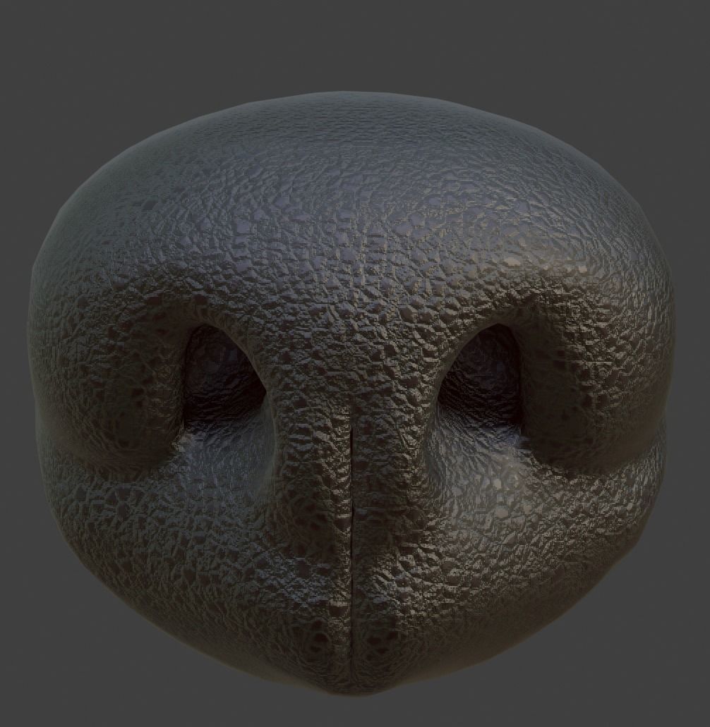 Dog Nose  Low-poly 3D model_3