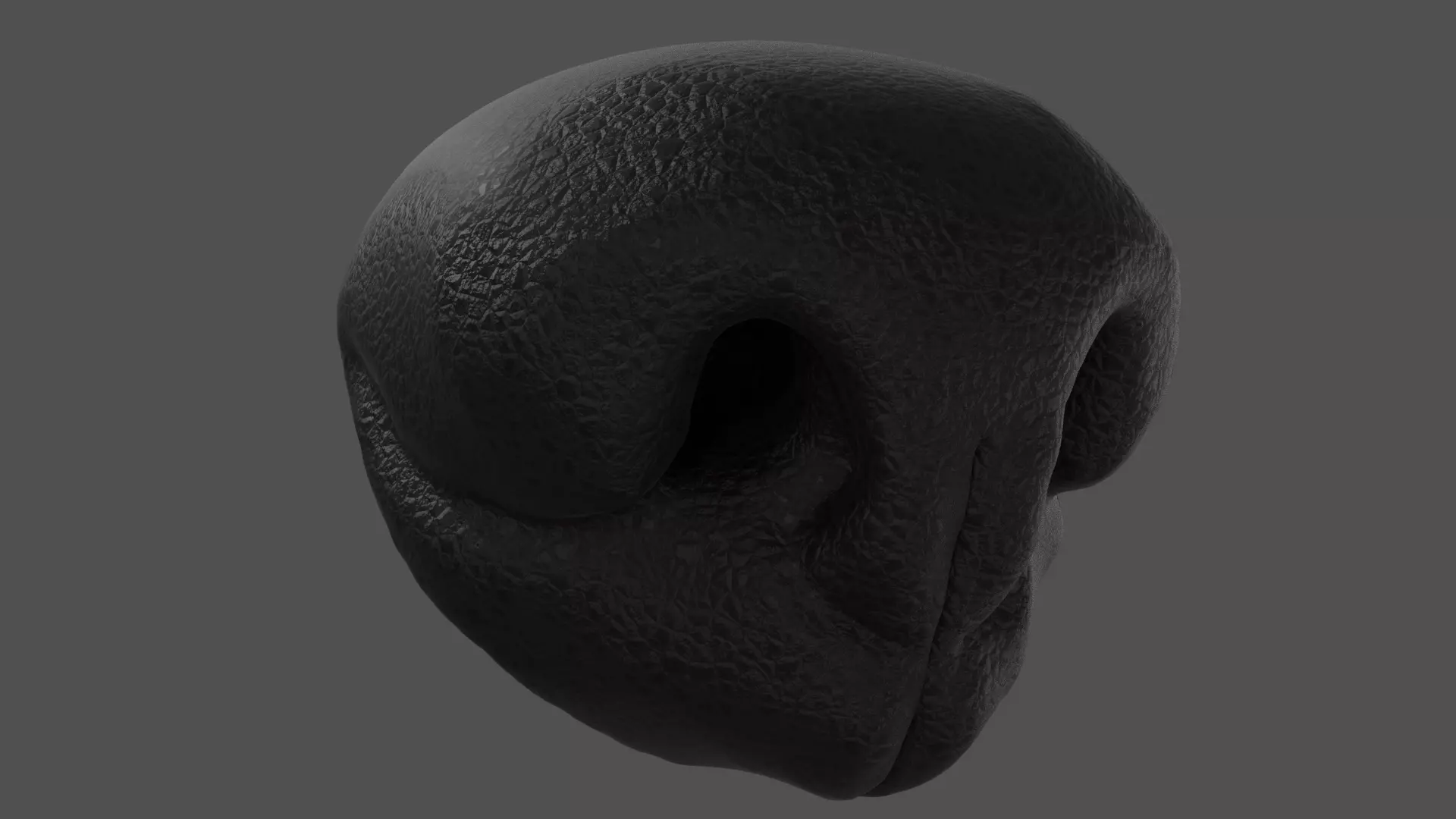 Dog Nose  Low-poly 3D model_0