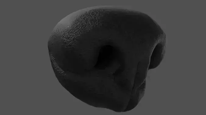 Dog Nose 
