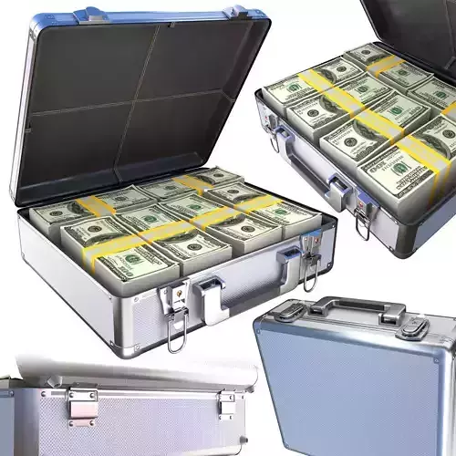 case 300 thousand dollars 3D model
