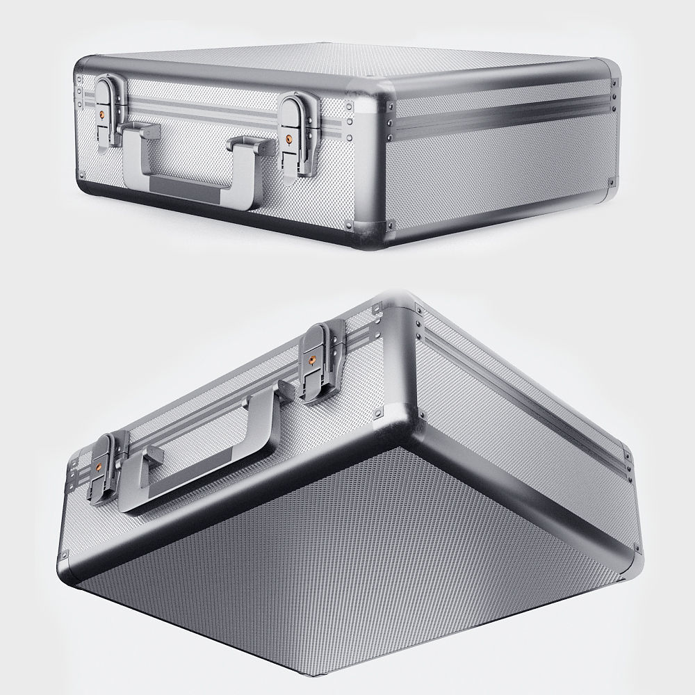 case 300 thousand dollars 3D model_1