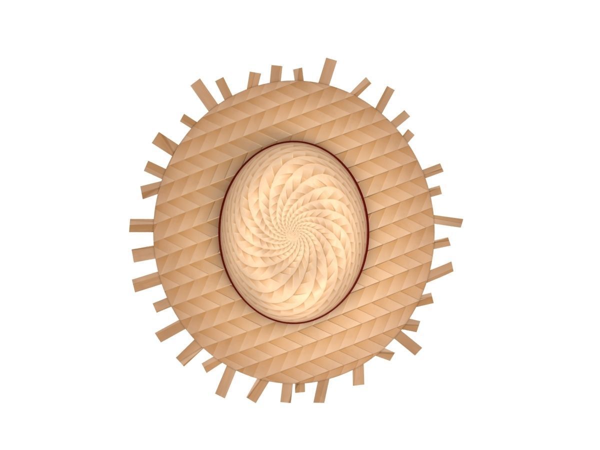 Straw Hat  Low-poly 3D model_6