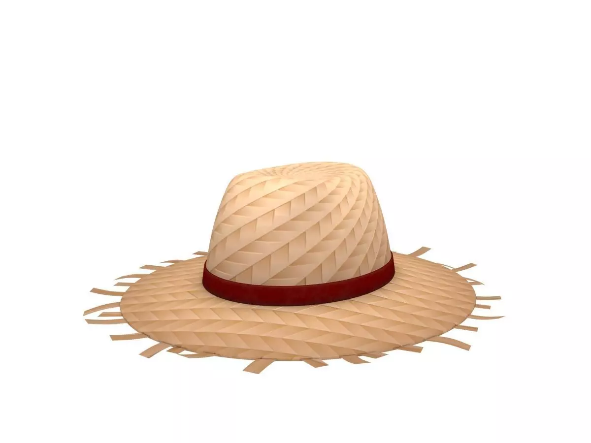 Straw Hat  Low-poly 3D model_0