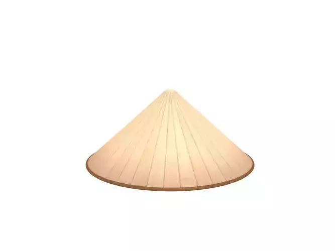 Conical Hat Low-poly 3D model