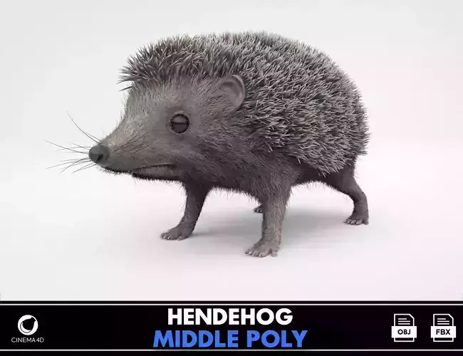 Hedgehog 3D model