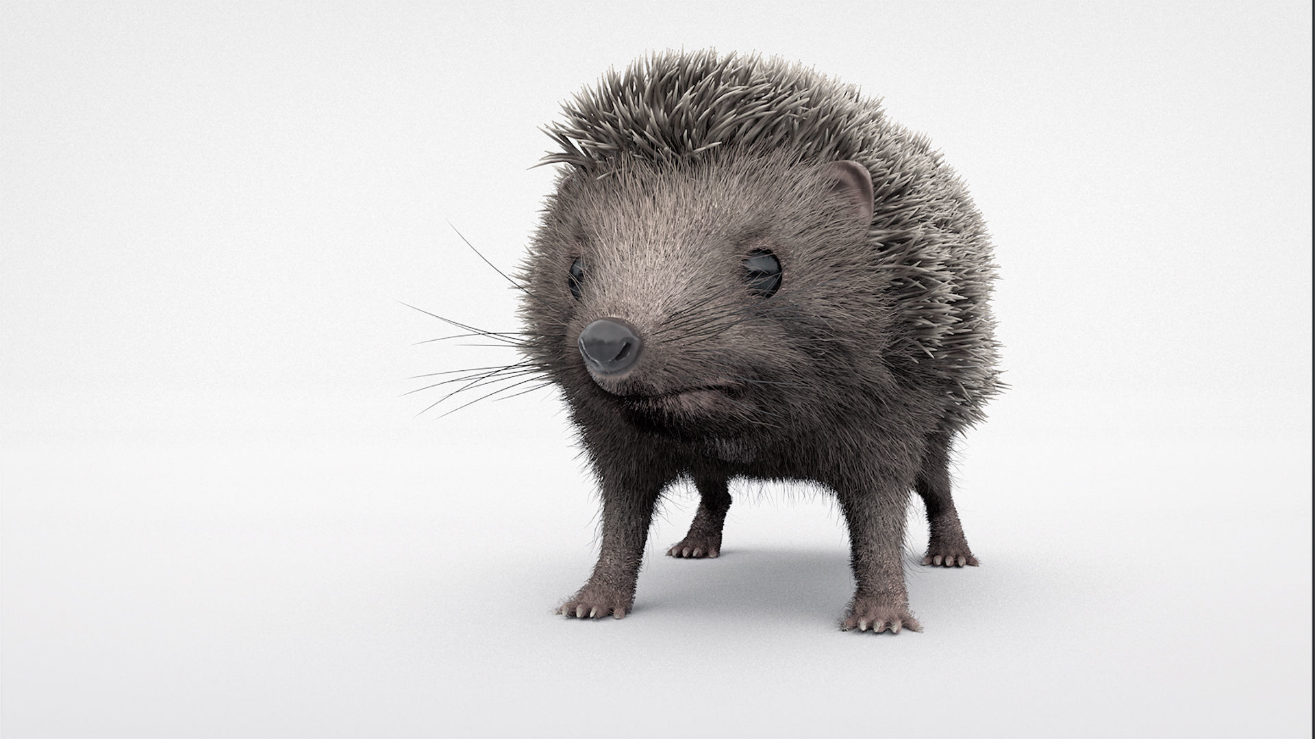 Hedgehog 3D model_1
