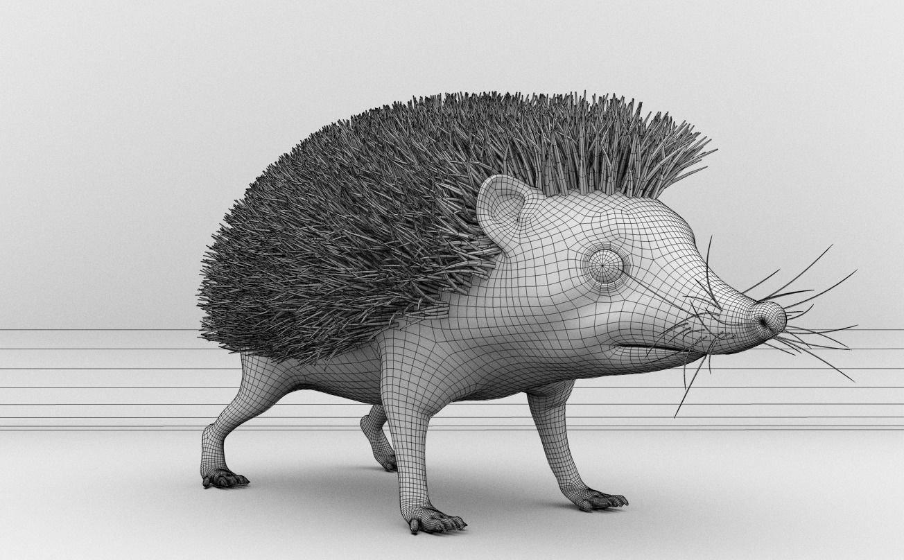 Hedgehog 3D model_12