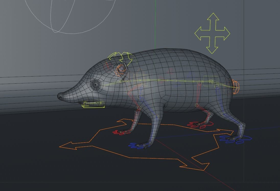 Hedgehog 3D model_6